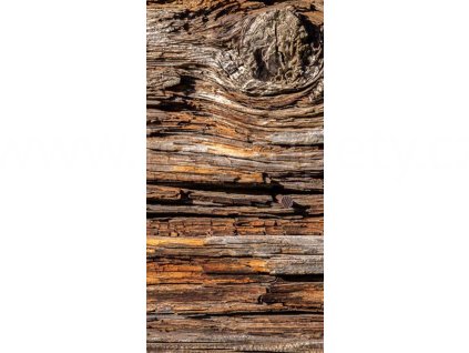 Dvoudílná vliesová fototapeta Kůra stromu, rozměr 150x250cm, MS-2-0159