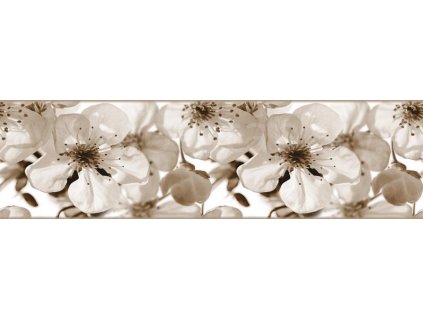Samolepící bordura - Květy jabloně, 13,8cm x 5m,  WB 8216