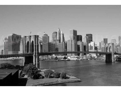 Pětidílná vliesová fototapeta Manhattan, rozměr 375x250cm, MS-5-0010