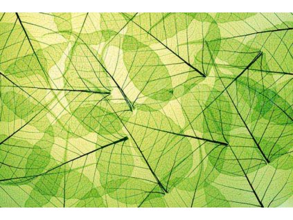 Pětidílná vliesová fototapeta Zelené listy, rozměr 375x250cm, MS-5-0111