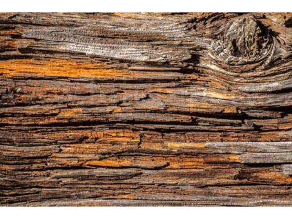 Pětidílná vliesová fototapeta Kůra stromu, rozměr 375x250cm, MS-5-0159
