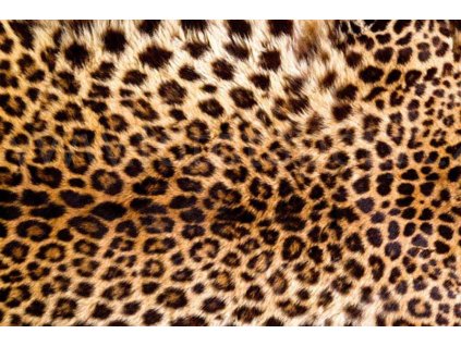 Pětidílná vliesová fototapeta Leopardí kůže, rozměr 375x250cm, MS-5-0184