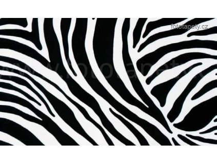 Samolepící fólie Decor, Zebra