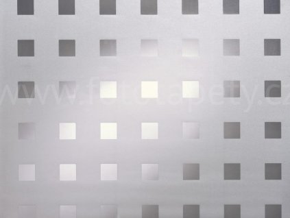 Transparentní folie na sklo 1-2-3 static Premium - Caree