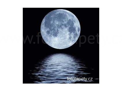 Samolepící velkoplošná nálepka - Měsíční svit, 100x100cm