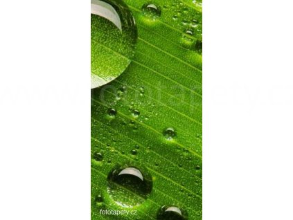 Samolepící velkoplošná nálepka - Tráva, 100x180cm