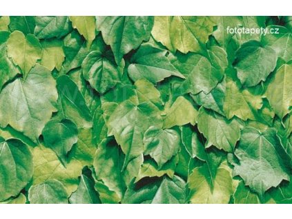 Samolepící tapeta d-c-fix imitace přírodního materiálu, vzor Zelené listy