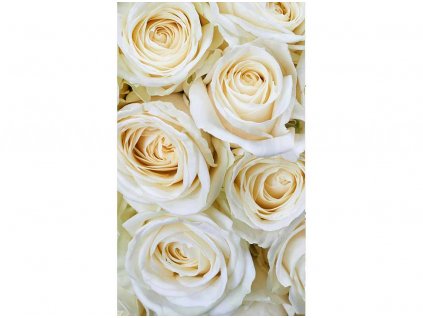 fototapeta Bílé růže