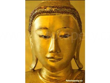 Obrazová tapeta čtyřdílná Buddha, šířka 183, výška 254, 4D ID 405