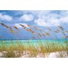 Ocean Breeze, National Geographic fototapeta, 8D 515, 368 x 254cm