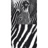 Dekorační foto polštářek Zebra, 45x45cm, CN3605