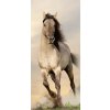 Jednodílná vliesová fototapeta Cválající kůň FTN V 2928, rozměr 90x202cm
