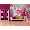 Čtyřdílná vliesová obrazová tapeta Růžová orchidej FTN xxl 1148, rozměr 360 x 270cm