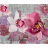 Čtyřdílná vliesová obrazová tapeta Růžová orchidej FTN xxl 1148, rozměr 360 x 270cm