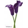 Maxiplakát - Purple calla lilies - šířka 115 , výška 175cm, skladem poslední 3 ks !