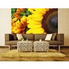 Třídílná vliesová fototapeta Slunečnice, rozměr 225x250cm, MS-3-0130