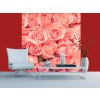 Třídílná vliesová fototapeta Růže, rozměr 225x250cm, MS-3-0133