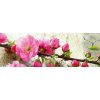 Dvoudílná vliesová fototapeta Sakura, rozměr 375x150cm, MP-2-0109