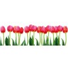 Dvoudílná vliesová fototapeta Záhon tulipánů, rozměr 375x150cm, MP-2-0126