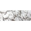Dvoudílná vliesová fototapeta Pampeliškové chmýří, rozměr 375x150cm, MP-2-0122