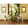 Dvoudílná vliesová fototapeta Bílé tulipány, rozměr 150x250cm, MS-2-0127