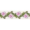 Samolepící bordura - Růže, 13,8cm x 5m,  WB 8229