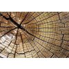 Pětidílná vliesová fototapeta Dřevo, rozměr 375x250cm, MS-5-0162