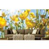 Pětidílná vliesová fototapeta Žluté květy, rozměr 375x250cm, MS-5-0134