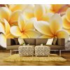 Pětidílná vliesová fototapeta Plumeria, rozměr 375x250cm, MS-5-0140