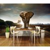 Pětidílná vliesová fototapeta Slon, rozměr 375x250cm, MS-5-0225