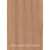 99 6255 dub americky dallas2