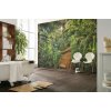 8 989 jungle trail interieur i web