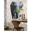 Fototapeta Slon africký, čtyřdílná, šířka 183 x výška 254 cm