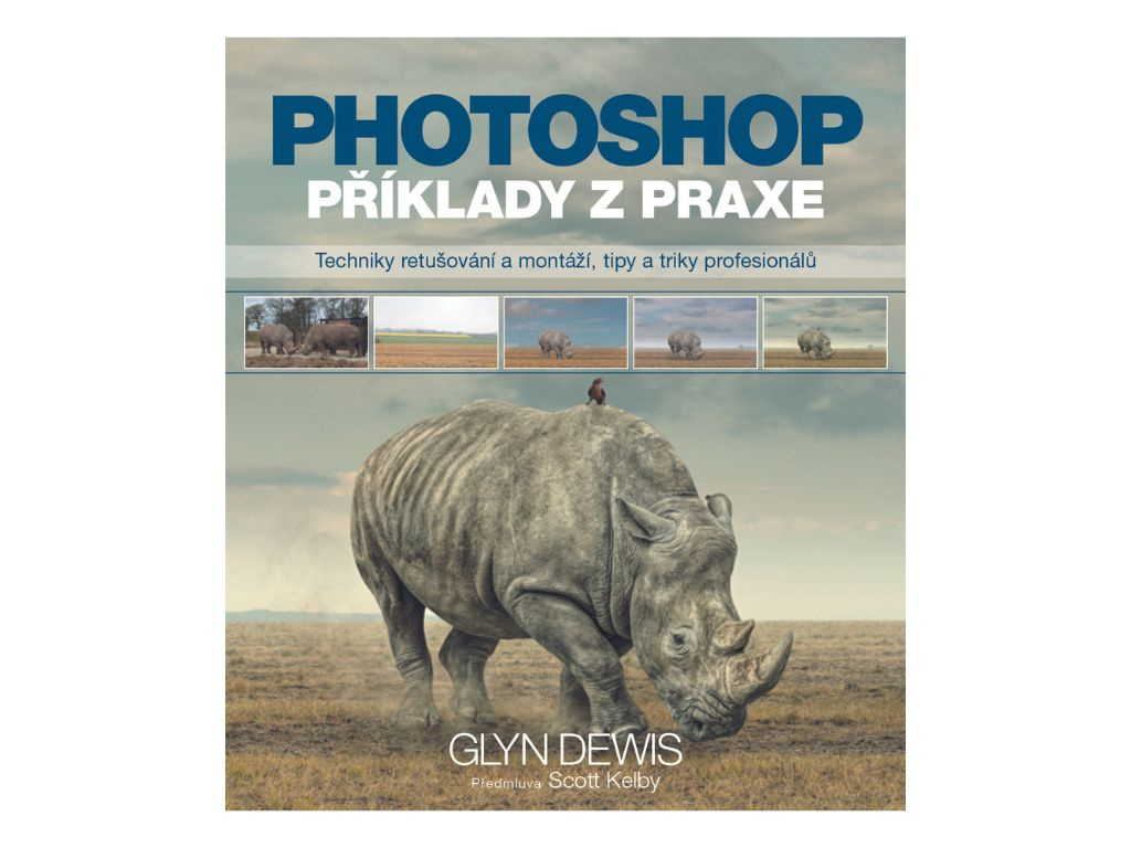 Kniha Photoshop – Příklady z Praxe GLYN DEWIS