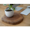 Podstavec Drevené Dubové Okrúhle Prírodné Dekorácie na Focení