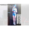 Štvorkrídlový 3D LED Hologramový Holografický Projektor 65cm Holofan Reklamný Pútač Fan
