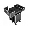 Robustní Kufr na Příslušenství Kosmetický Box Beauty Vozík Flight Case