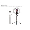 Ring Light Selfie Tyč Tripod 3v1 Monopod Kruhové RGB Světlo Smartphone + Dálk. Ovládání 190cm