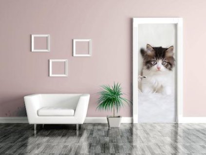 Samolepící fototapeta na dveře Kotě