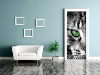 Samolepící fototapeta na dveře Kočka šedá