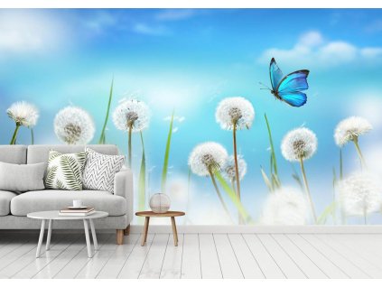 Fototapeta na zeď - Motýl s pampeliškou