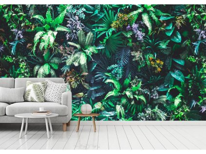 Fototapeta na zeď - Veliké zelené listy