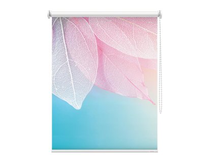 Fotoroleta Jemné listy na barevném pozadí