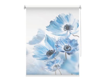 Fotoroleta Něžné modré květy 2