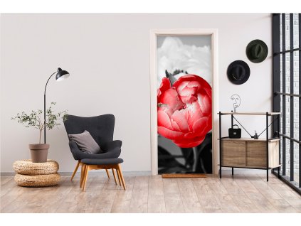 Samolepící fototapeta na dveře Červená krása v černobílé