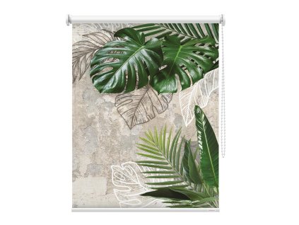 Fotoroleta Listy v tichu stěn 2