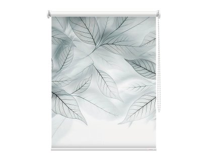 Fotoroleta -  Závoj tichých listů