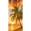 Západ slunce s palmou