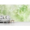 Fototapeta na zeď - Něžná pivoňka zelená