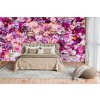 Fototapeta na zeď - květinová stěna